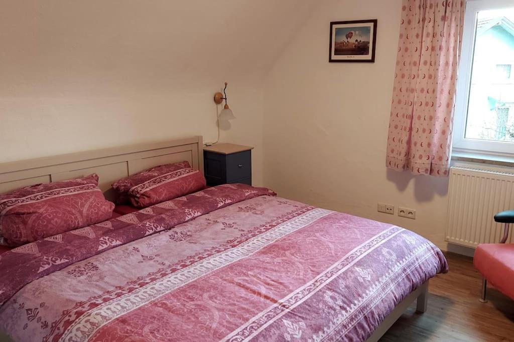 Gemuetliche Ferienwohnung Auf 2 Etagen Mit Dachterrasse 반겐임알가우 외부 사진